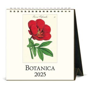 Cavallini & Co. Botanica 2025 Easel Desk Calendar, 6.5"x6.5"